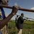 Uganda, il vorace accaparramento di terre fertili favorito dal governo