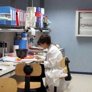 Roma, per i medici di famiglia arriva l'app per monitorare i pazienti. "Ma ancora ci dobbiamo comprare le mascherine da soli"