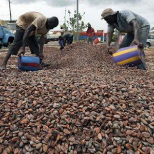 Nestlé, causa negli Usa per l'uso di manodopera minorile nelle piantagioni di cacao
