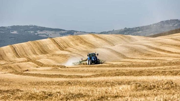 Erosione e mancanza di carbonio organico: la metà del suolo italiano è in uno stato di cattiva salute