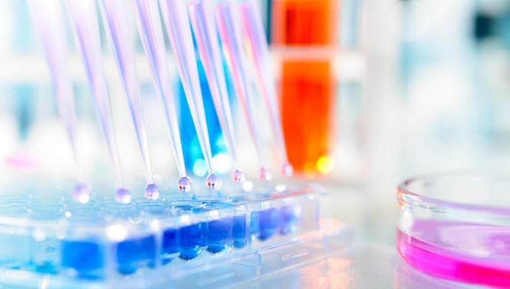 Ringiovanire le cellule non è più solo fantascienza: entro l’anno il primo test nell’uomo