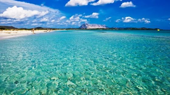 In Sardegna, tariffe low cost