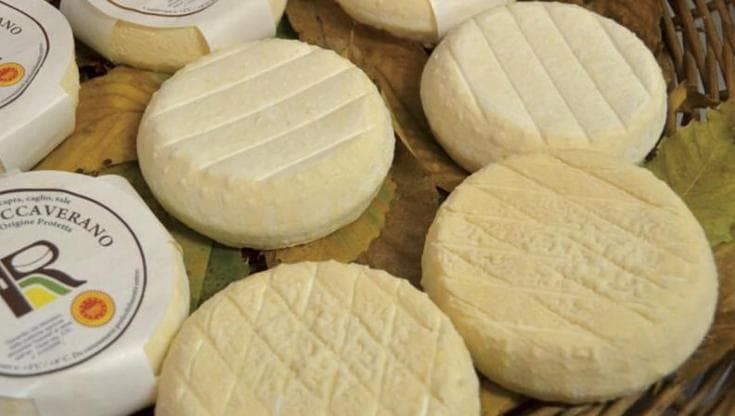 Dal Marzolino al Roccaverano Dop, è la stagione dei formaggi di capra
