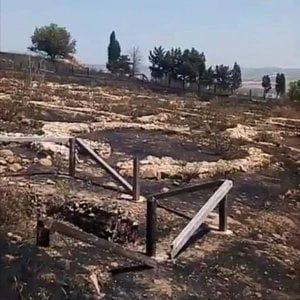 Fiamme dolose nell'area archeologica del Parco di Segesta