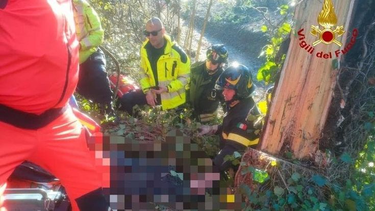 Operaio ucciso dal crollo di un albero a Pescia, aveva 61 anni
