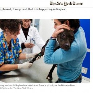 Il NY Times loda Napoli: "Nonostante tanti problemi &egrave; all'avanguardia sul tema delle deiezioni dei cani"
