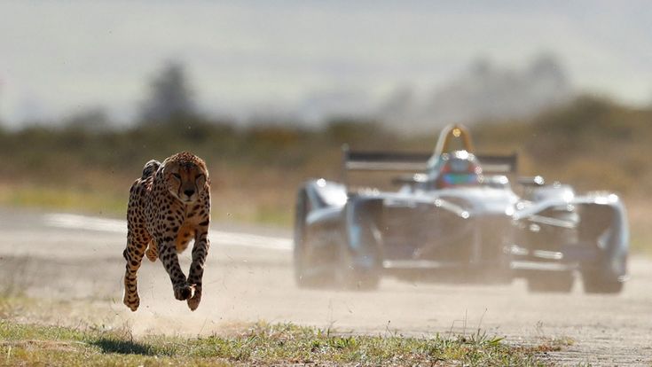 Formula E, via al Mondiale tra ecologia e business 