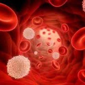 Cancro: quanto è tossica la terapia cellulare