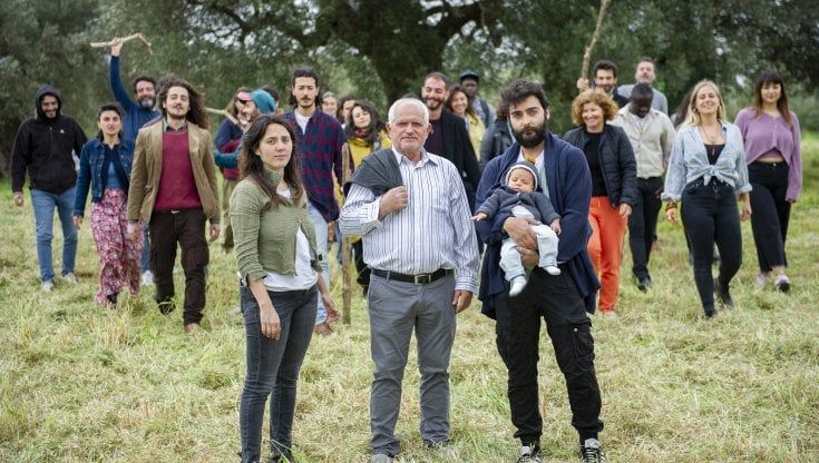 Salento, l'uliveto diventa un'agroforesta: la sfida di X Farm per andare oltre la xylella