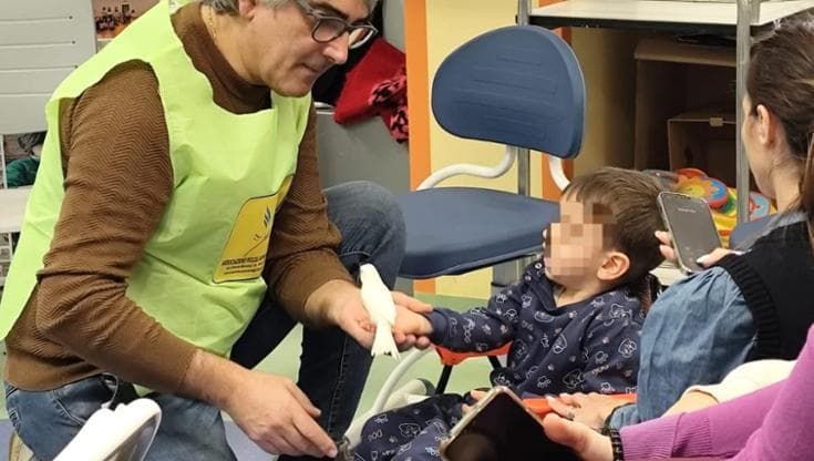“Porto i miei canarini negli ospedali, amo i sorrisi dei bambini ricoverati quando giocano con loro”