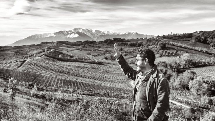 L'energia positiva del vigneto Di Carlo