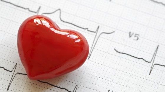 Si muove come gli animali marini la membrana che "salva" il cuore
