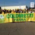 Coldiretti: quei parmigiani  contro Lactalis