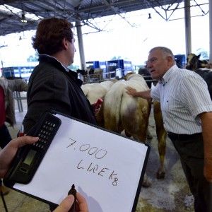 Cuneo, l&rsquo;ultimo mercato che resiste all&rsquo;euro &ldquo;Qui prezzi solo in lire&rdquo;