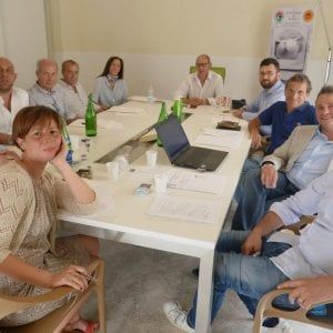 Caserta, confermato Raimondo a capo del Consorzio tutela mozzarella di bufala dop