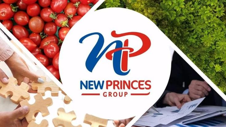 NewPrinces sfiora il -30% in Borsa in due giorni: il tonfo dopo l’avvicinamento a Realco