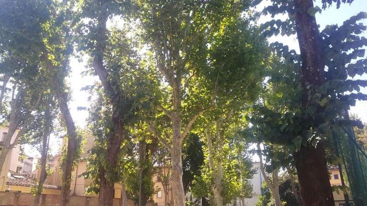 Firenze, campetto da calcio, un camminamento verde e il nuovo centro giovani: così rinasce l’ex Nidiaci