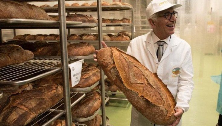 Il pane di Altamura è il più amato dagli italiani: "Un patrimonio di tutto il Paese"