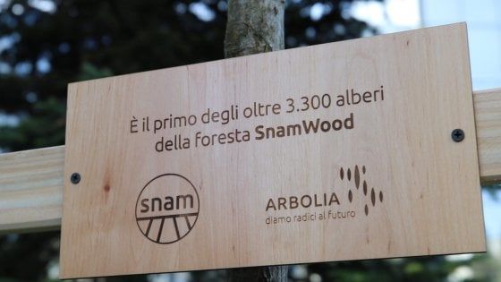 Snam: primo albero di una foresta di oltre 3mila piante dedicata alle sue persone