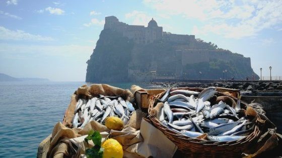   Blockchain, la tecnologia al servizio del mare: così la Campania traccerà il pescato