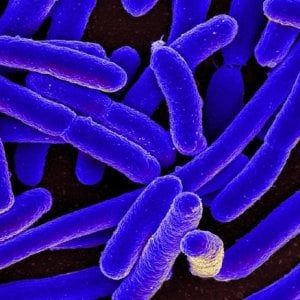 In primavera arriva il piano nazionale contro le antibiotico resistenze
