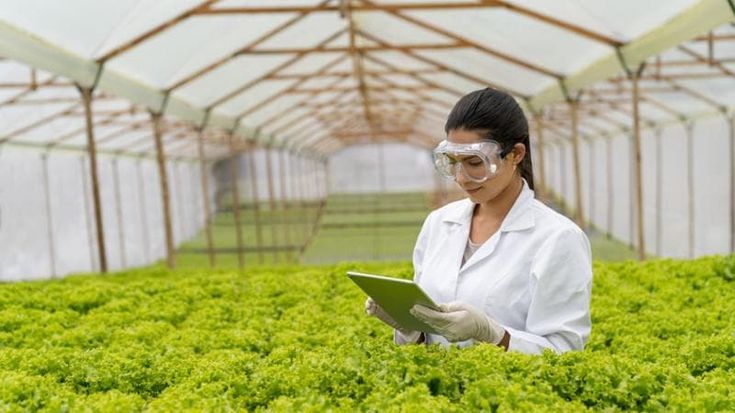 Boom dell’Agrifoodtech in Italia: più di 340 le startup e investimenti per 167 milioni di euro
