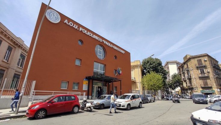 Palermo, ricoverato al Policlinico tenta di lanciarsi nel vuoto, due medici-eroi lo fermano in extremis