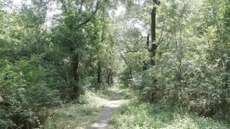 Incidente a Teramo, catena tesa tra due alberi per delimitare una proprietà privata: muore a 25 anni mentre fa motocross