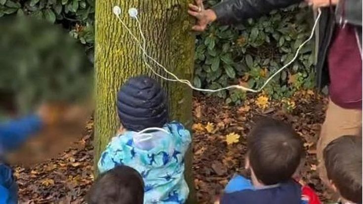 “Una foglia e due morsetti. Faccio cantare le piante e insegno i suoni ai bimbi”