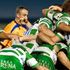 Rugby, Celtic League: gli Scarlets per le Zebre. Treviso va a Edimburgo