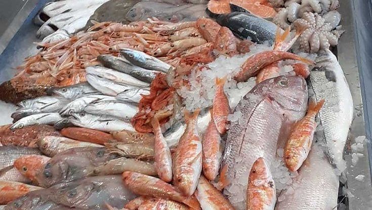Vittorio, il pescatore di Polignano dona il pesce alla Caritas di Acquaviva: "E lo fa cantando Domenico Modugno"