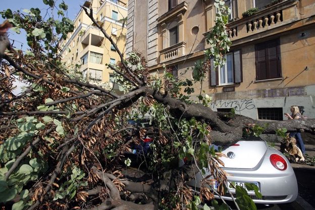 Nubifragio su Roma, alberi caduti e sottopassi allagati