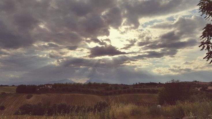 Giornata mondiale dell'ambiente, le vostre foto / 6