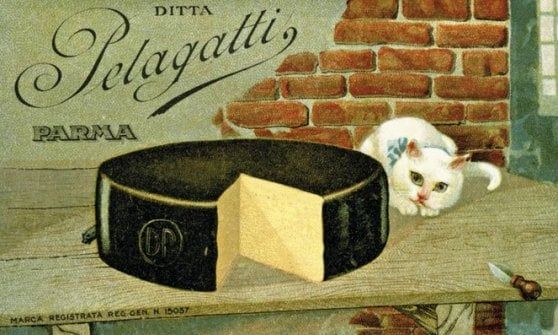 Parmigiano, parole in forma: storia letteraria del re dei formaggi