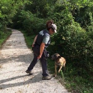 Orso morto in Abruzzo, unit&agrave; antiveleno in azione