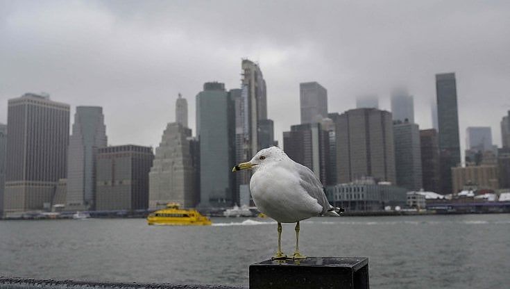 Tassi in rialzo ed euro forte: comprare casa a Manhattan ora è più "conveniente". Ecco come fare