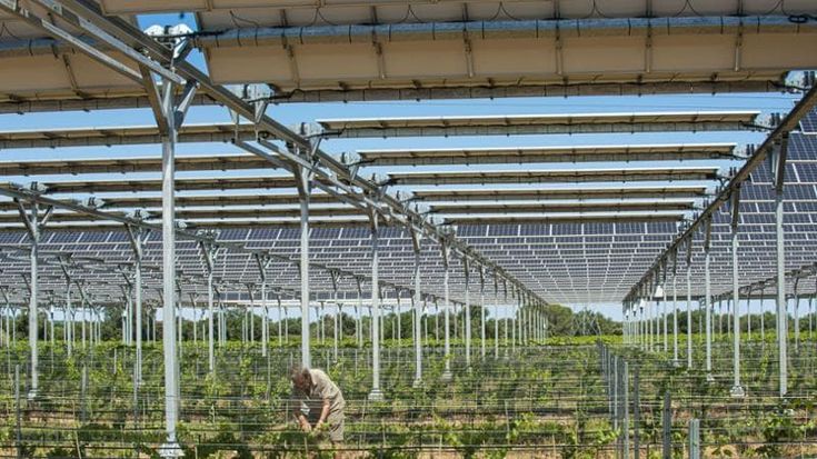 Sì all’agrivoltaico, no al consumo di suolo: ridisegnata la legge sull’energia green in Puglia