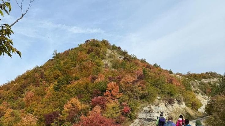 Cai Bologna, 1200 km di sentieri aperti. “Un ruolo per la cura dei nostri colli”