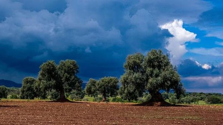 Pioggia e freddo: in Puglia arriva l’autunno. “Sulla costa temperature al di sotto della media”