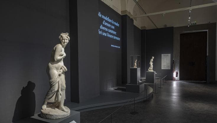Galleria dell’Accademia: una nuova stagione sotto il segno di Venere