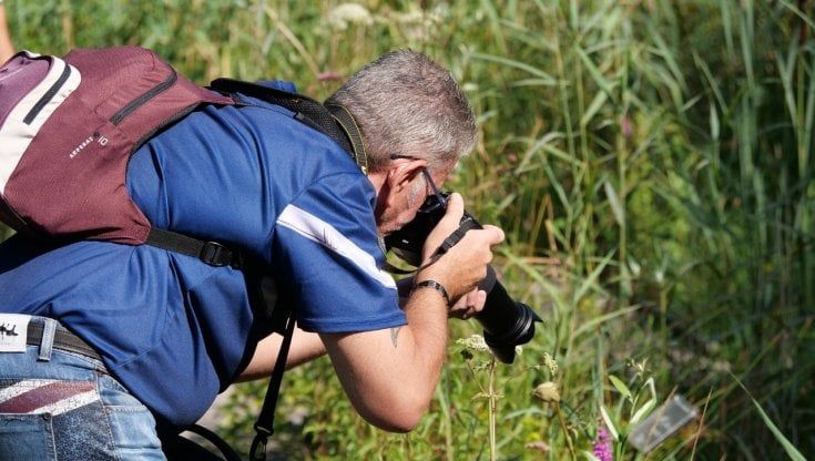 Concorso fotografico Il risveglio della natura nei Parchi del Ducato