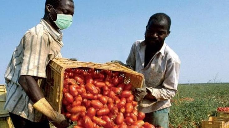 Immigrati, il nuovo accordo con l’Ispettorato del lavoro per contrastare i soprusi sui lavortori