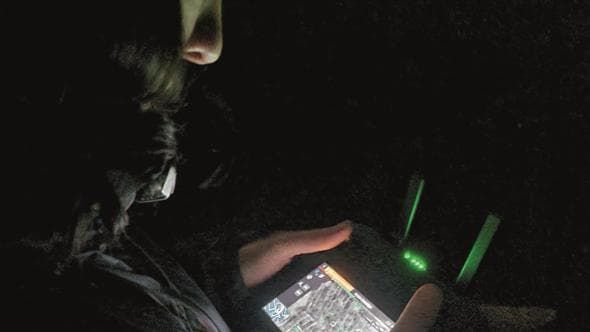 Chip, droni e IA per la gestione della fauna