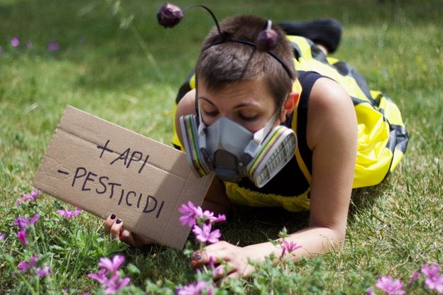 Greenpeace, a Bari le volontarie si travestono da api
