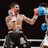 Boxe, Blandamura, non basta il coraggio: Morrison vince per ko
