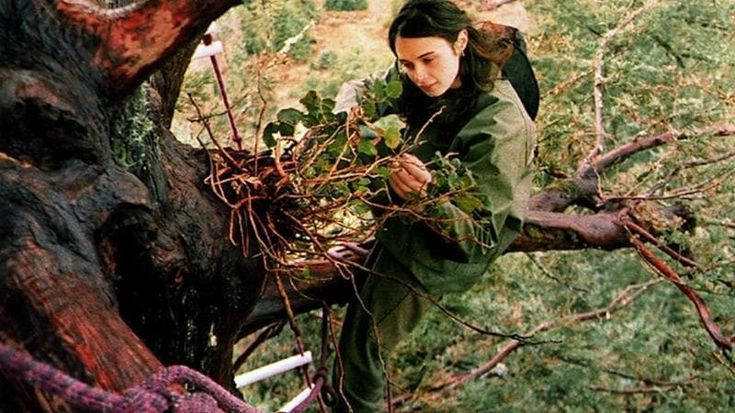 Ha vissuto due anni su un albero per salvarlo dall'abbattimento: Julia Butterfly Hill a Greve