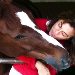 Milano, maltrattò il cavallo fino alla morte: radiato olimpionico del dressage