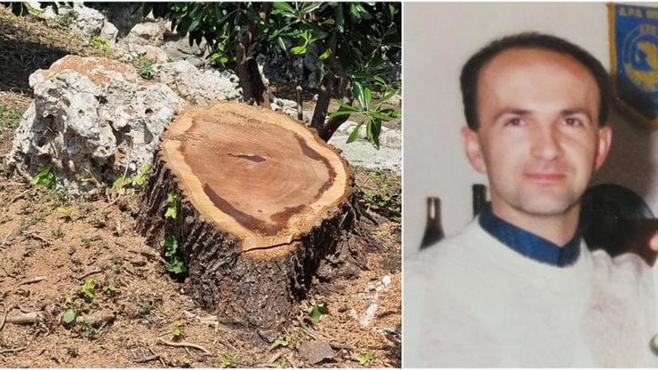 Senna Lodigiana, morto sul lavoro mentre taglia un albero: addio a Mauro Lambri