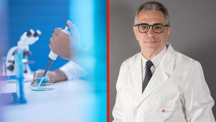Malattia della pioggia: cos'è, come si trasmette e perché stanno aumentando i casi