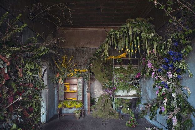 La nuova vita del vecchio rudere: 100mila fiori colorano il cemento